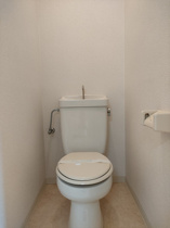 落ち着いた色調のトイレです