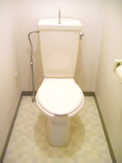 落ち着いたトイレです
