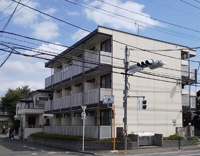 外観もきれいです
