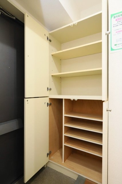 靴入