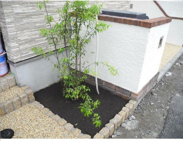 エントランス横の植栽
