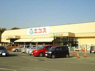 エコスまで2500m