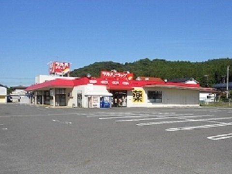 サニーハウスＹＭの周辺|ツルハドラッグ石川店まで3000m