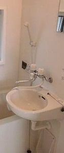 コート追分の洗面所