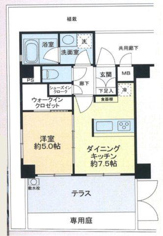 スタジオデン京急蒲田の間取り|専用庭とカウンターキッチン＆ウォークインクローゼットがポイントの1DK

