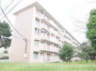柏町団地１３号棟の画像