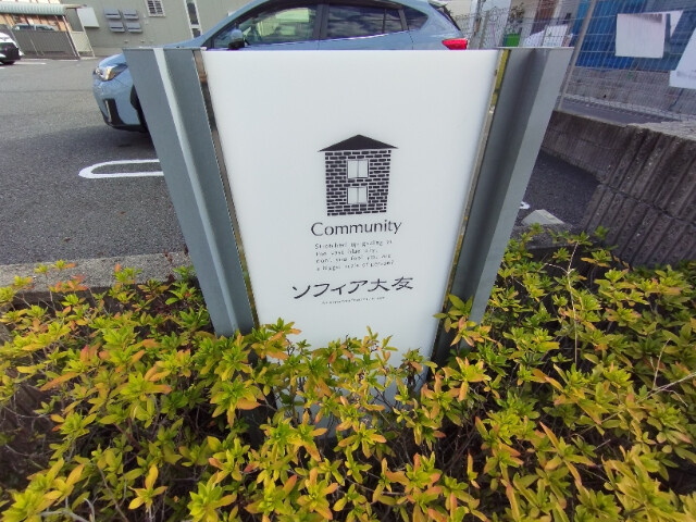 ソフィア大友のその他