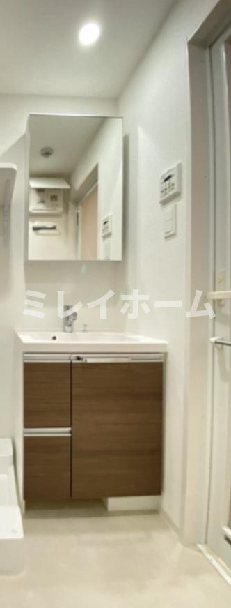 ブライズ大森東SEIの洗面所