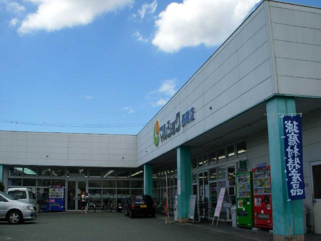 熊本市東区八反田３丁目のアパートの周辺|マルショク長嶺まで570ｍ