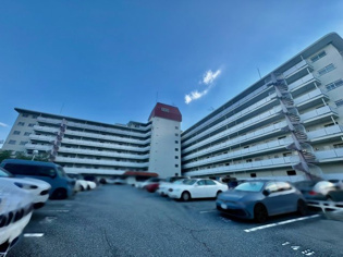 逆瀬川グリーンハイツD棟