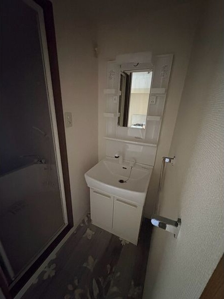 プリムローズマンションの洗面所