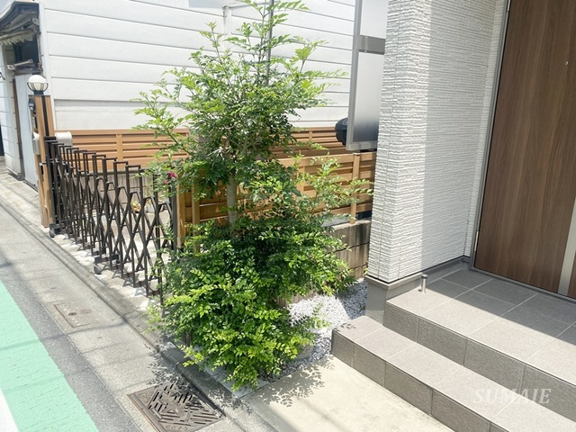 Ｂｉａｎｃａ　Ｌｅｏｎｅのその他|植栽です☆