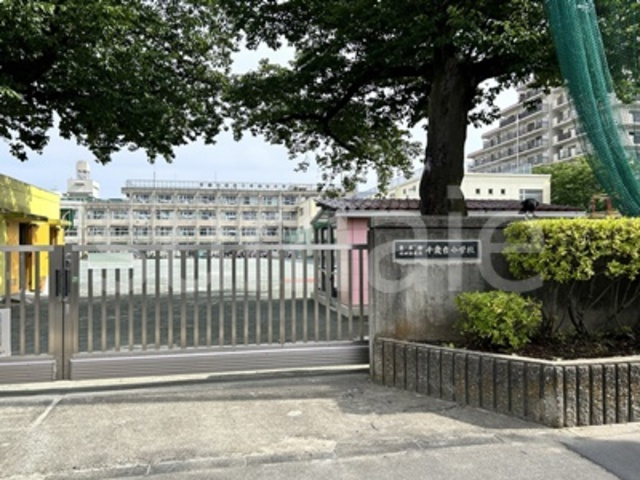 Ｂｉａｎｃａ　Ｌｅｏｎｅのその他|世田谷区立千歳台小学校