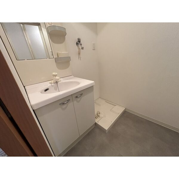 プランドール浅間町(入居日など柔軟に対応致します。)の洗面所