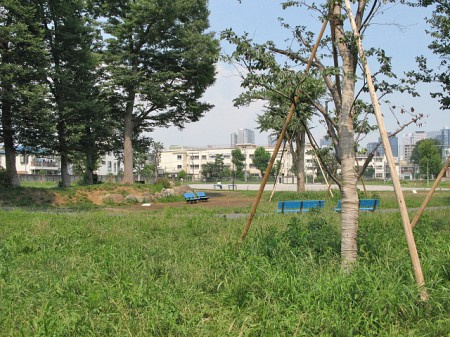 ルーブル中野弥生町の周辺