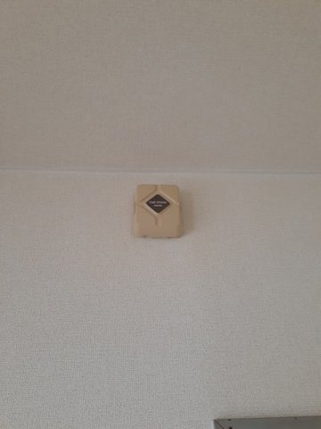 グレイシャス山下のその他