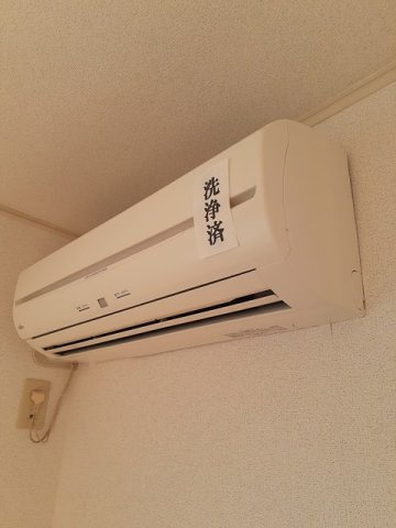 プリムラ　Ｃのその他