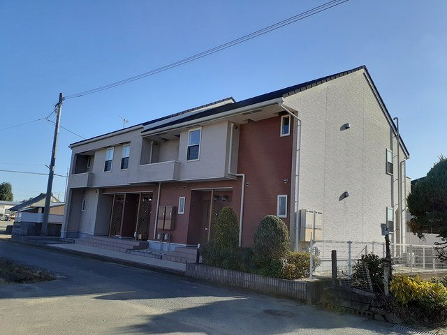 プリムラ　Ｃ