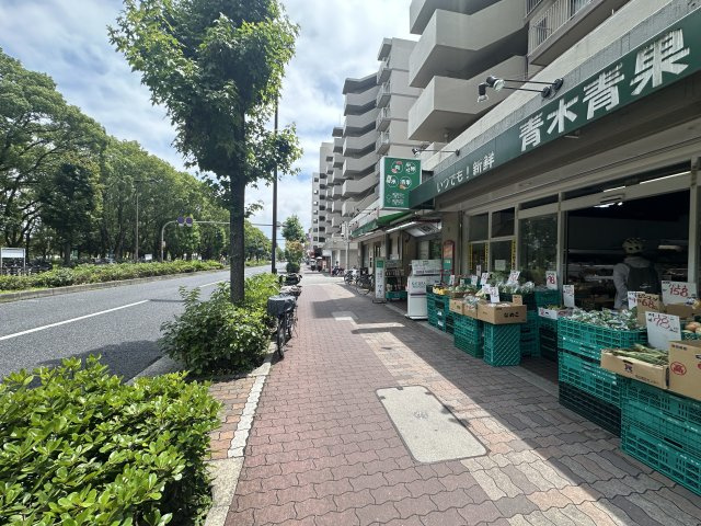 エバーグリーン長居１号棟④号室の外観パース