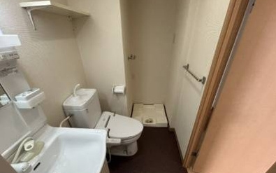 シャルル上新庄の洗面所