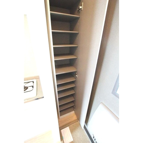 アルビレオYの玄関