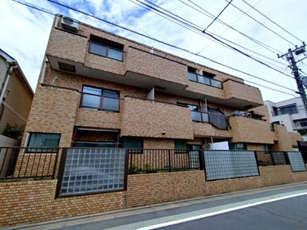 ライオンズマンション碑文谷の外観|ライオンズマンション碑文谷１階部分のお部屋は通常仲介手数料１９７万６７００円→０円！さらにキャッシュバック１５万円にて即日現地案内可能です！