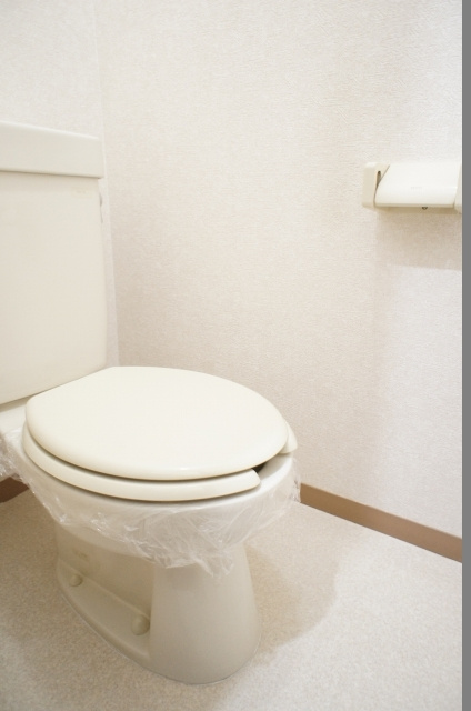 スカイハイツのトイレ