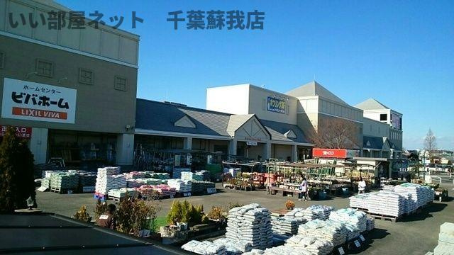 セレスティア　グロ―ブのその他
