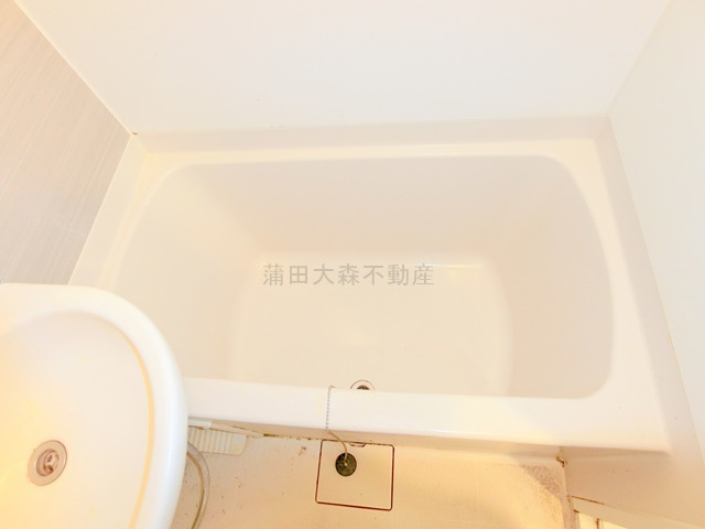 ルーブル蒲田南伍番館の浴室