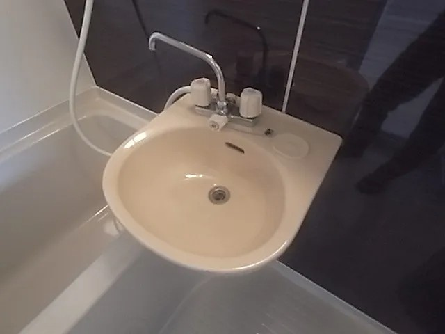 六甲グランドライオンズIIの洗面所