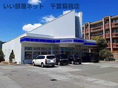 セレスティア　グロ―ブのその他