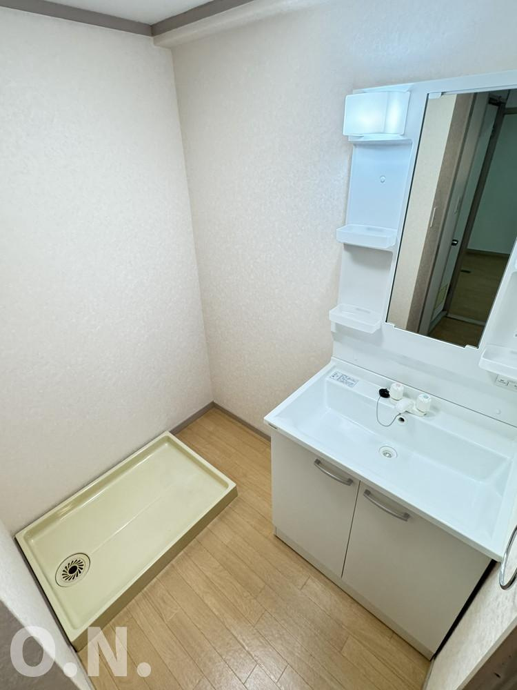 エコーハイツⅡの洗面所