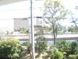 カワベ住吉川338ビルの展望