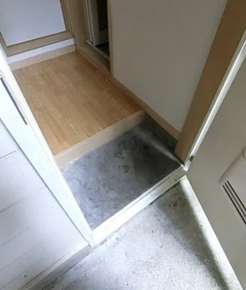 ルミエール星野の玄関|※別部屋参考写真