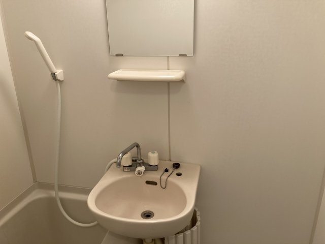 ライズ亀戸の洗面所