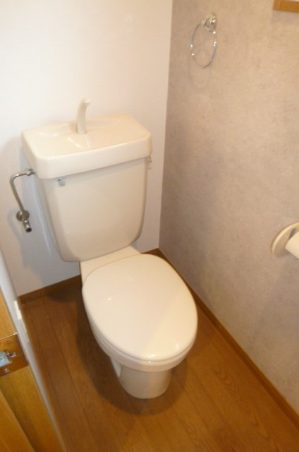 岩井川タウンハウスⅡ【10,000円キャッシュバック対象物件】のトイレ|シンプルで使いやすいトイレです