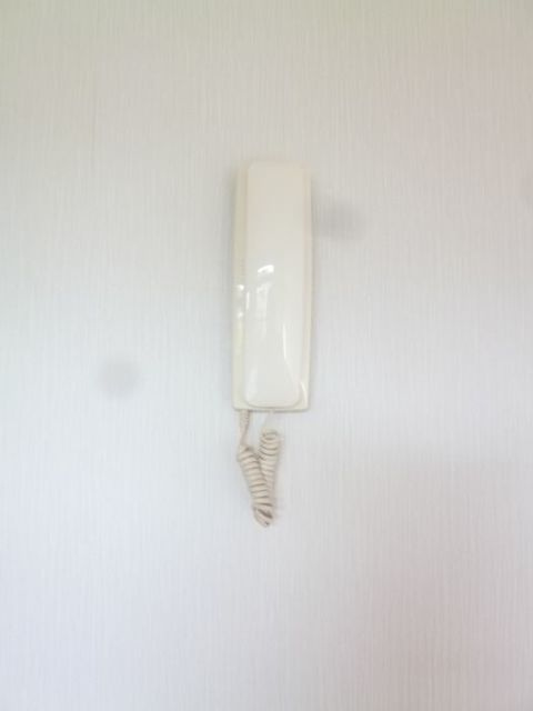岩井川タウンハウスⅡ【10,000円キャッシュバック対象物件】のセキュリティ|インターホンです