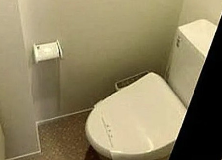 ソレアード四ツ谷のトイレ|落ち着いたトイレです