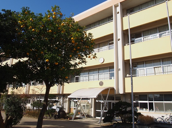 千葉市美浜区幕張西１丁目７７６６番の周辺|幕張西小学校