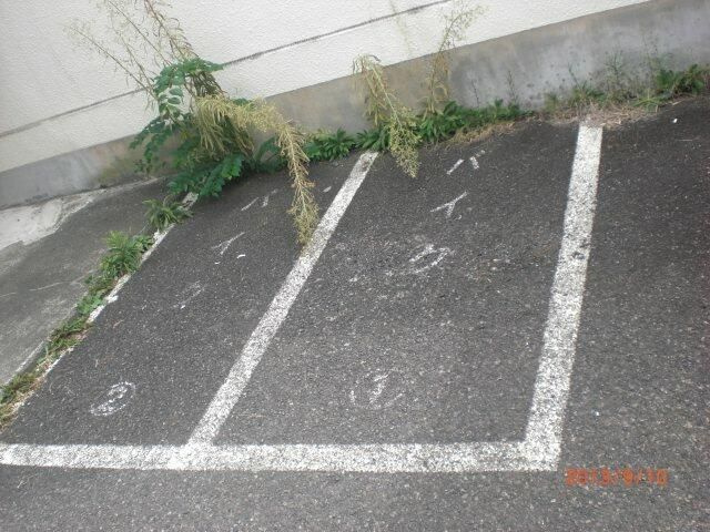多摩市豊ヶ丘１丁目の賃貸マンションの駐車場