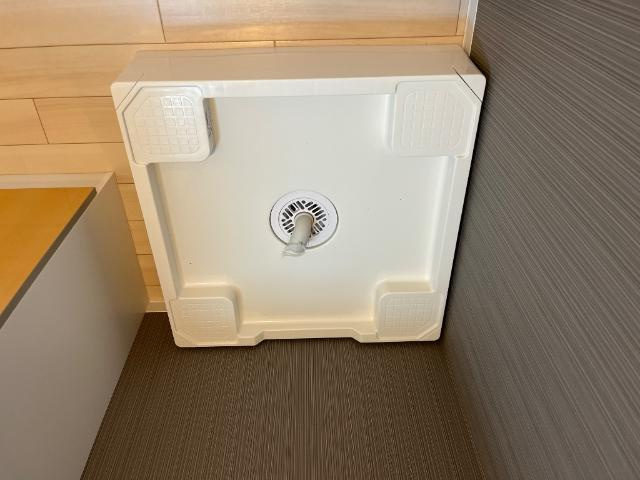 ブループラムのその他|その他