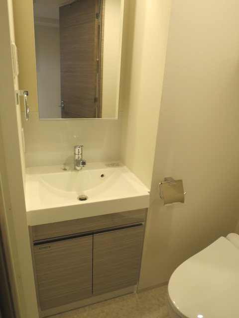 MAXIV北糀谷 の洗面所