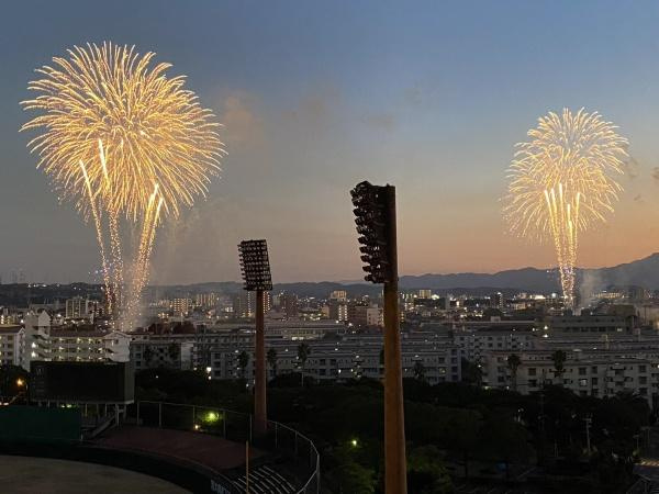 レジオン大洲公園のその他|花火が広がる空を見渡すことができます。夕暮れ時の幻想的な雰囲気などをも楽しむことができます。