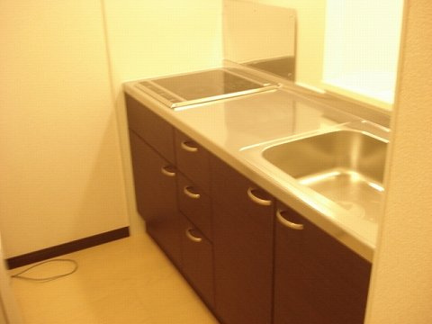 レオネクスト新町のキッチン