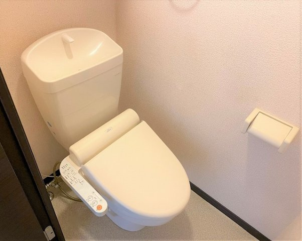 レオネクストレーブのその他
