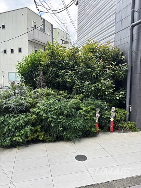 ベルシード西巣鴨のその他|植栽です