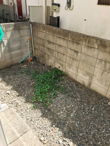サニーハイムの庭