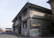 YSミストの画像
