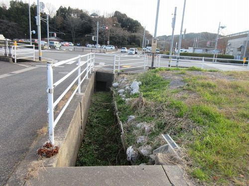 鳥取市桂見土地の周辺