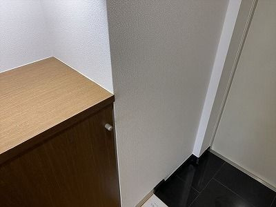 グリフィン川崎・西口弐番館の玄関